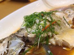 -新海利海鲜城·41年珠海老字号(夏湾店)
