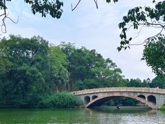 -中国科学院华南植物园