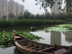 -前关湿地公园