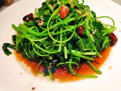 芥兰苗-佬肥猫(国华广场店)