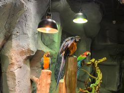 -Zoolung Zoolung动物主题公园(海信广场店)