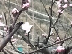 -青城道汤池