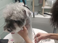 -FAELING PETS美天灵宠物(合生汇店)