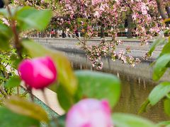 -海棠花溪(元大都城垣遗址公园)