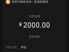 -特一安24小时宠物医院·骨科·中兽医