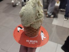 -野人先生现做冰淇淋(西安赛格店)