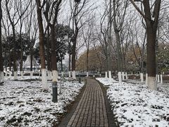 -白塘生态植物园