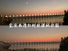 -宝安西湾红树林湿地公园