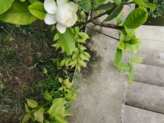 -龙潭水乡