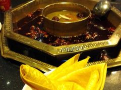 -蜀九香火锅(彩虹店)