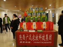 -曲江惠宾苑宾馆(大雁塔大唐不夜城店)