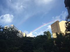 -大埔公路-马料水段香港中文大学(公交站)