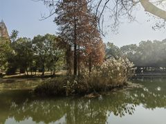 -东湖落雁景区