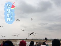 -盐城丹顶鹤湿地生态旅游区