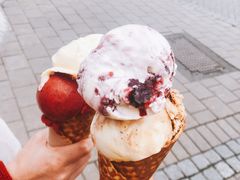 -Patagonia Chocolates(皇后镇店)