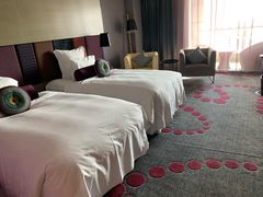 -南京禄口机场雅高铂尔曼大酒店