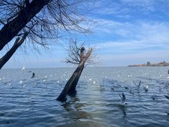 -捞渔河湿地公园