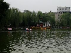 -莲湖公园