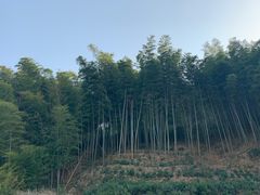 -石塘人家