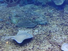 -顺德南宏海立方海洋公园