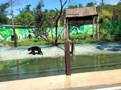 -济南野生动物世界
