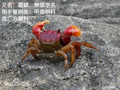 -腰记饭店(龙源路店)