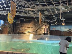 -萌宠奇缘(荣鼎店)