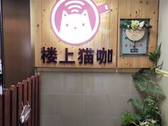 -楼上猫咖(罗湖店)