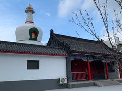 -西塔