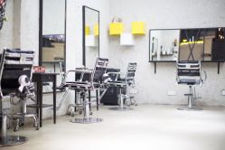 -SALON V