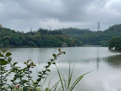 -深圳仙湖植物园