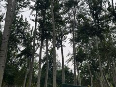 -仁和公园(顺义区)