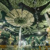 设计师系列之《伊甸花园》💚