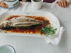 -云中小雅