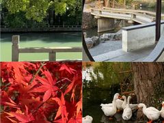-阳澄湖半岛旅游度假区
