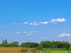 -良渚古城遗址公园