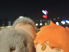 -武汉知音号
