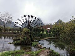 -靖西鹅泉风景区