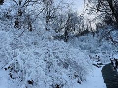 -终南山国家森林公园