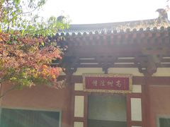 -灵谷景区