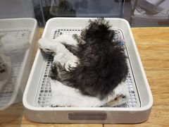 -狗道宠物(常熟印象城店)
