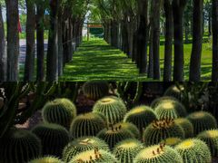 -亿利库布其七星湖沙漠生态旅游区