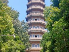 -灵谷景区
