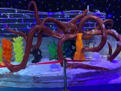 -宁波冰雪大世界(北仑区)