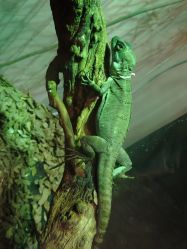 -Zoolung Zoolung动物主题公园(海信广场店)