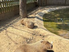 -无锡动物园·太湖欢乐园