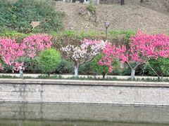 -元大都城垣遗址公园