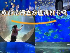 -成都浩海立方海洋公园