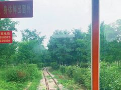 -西青郊野公园