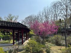 -采石矶景区